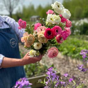 Chippy Flower Farm